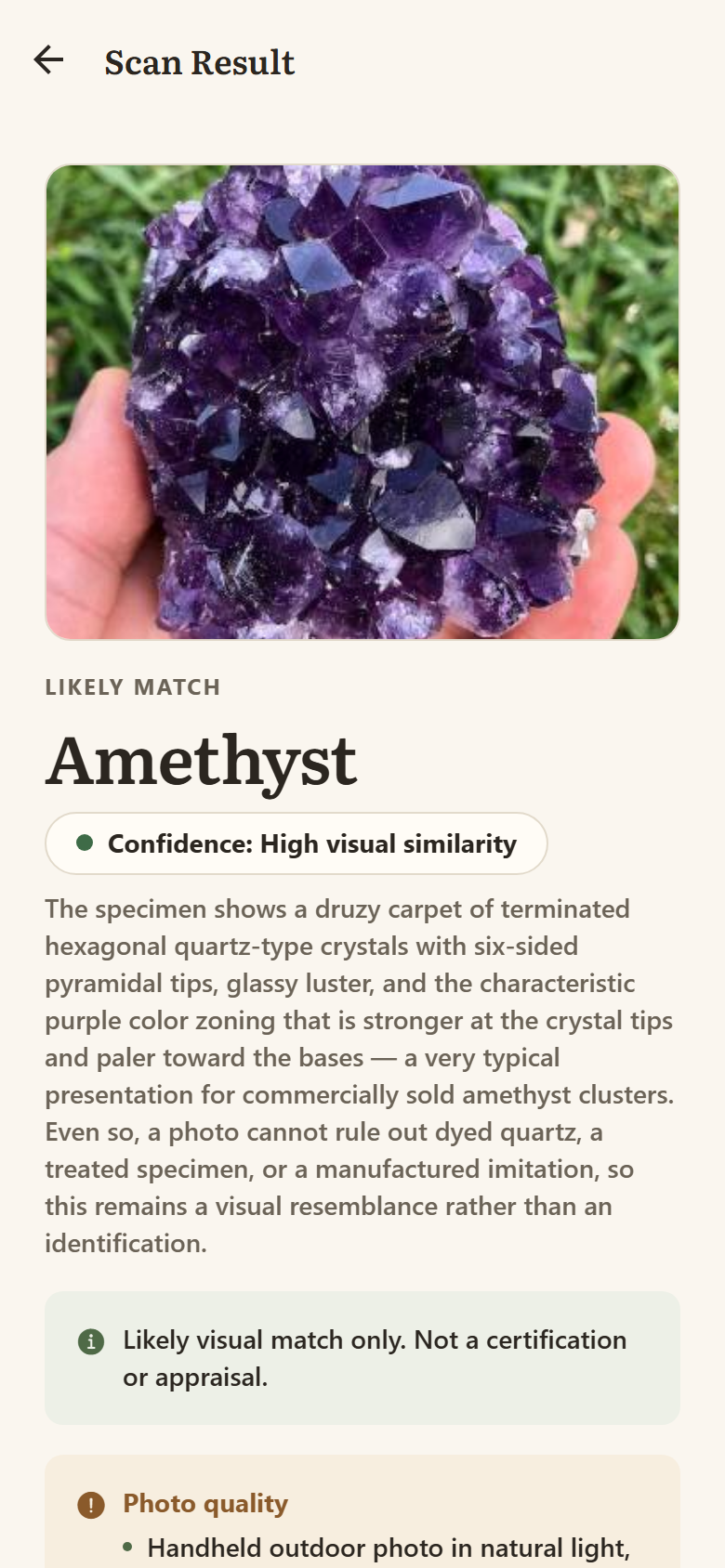 A RockLense scan result identifying an amethyst cluster, showing a confidence level and the look-alikes it cannot rule out.